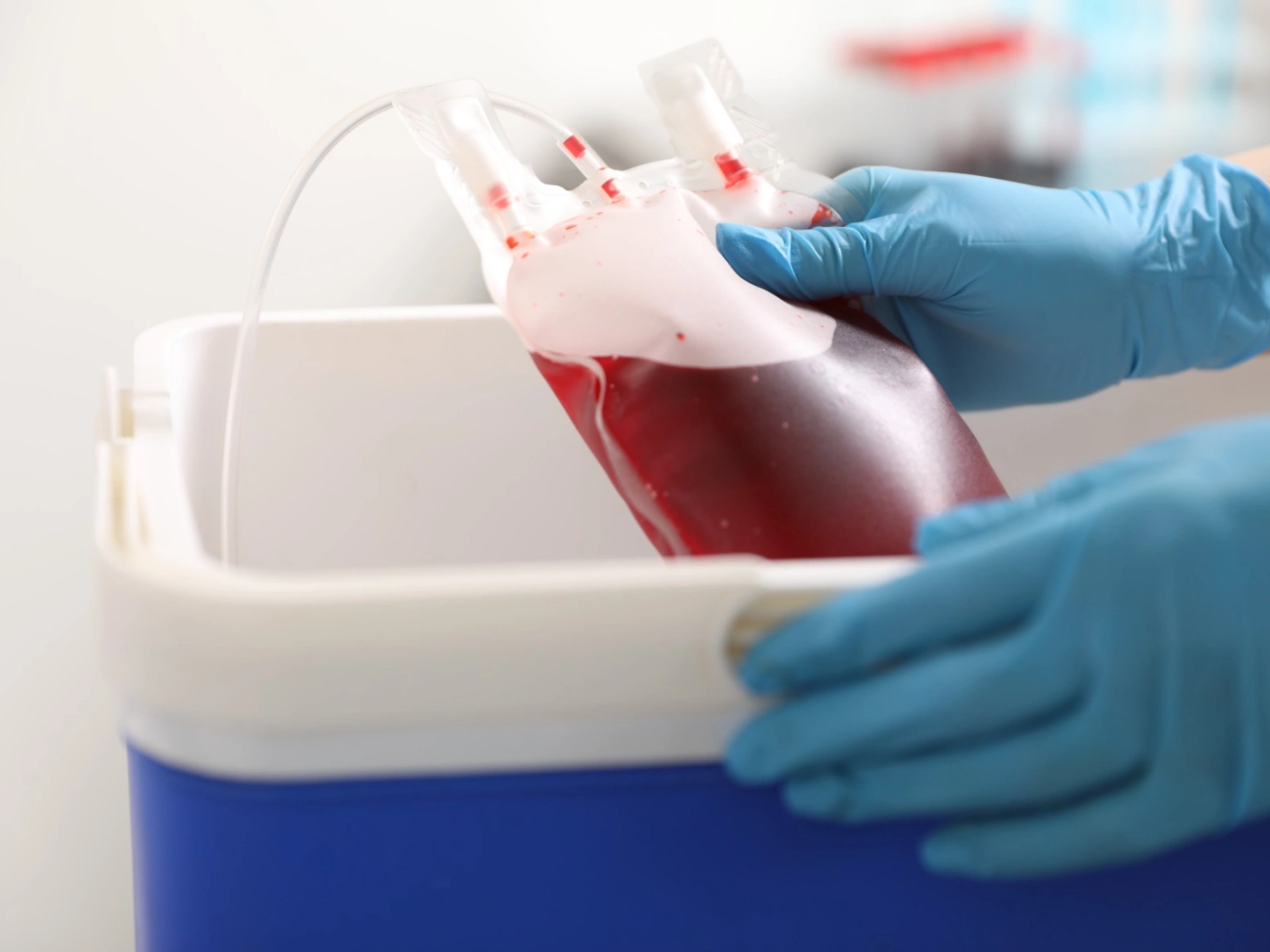 Blood bag being placed into cold storage at the blood bank