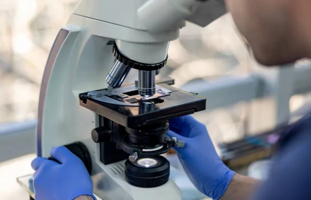 Microscope positioned over a culture plate sample